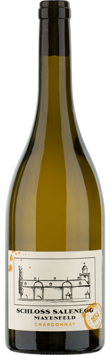 2022 Mayenfelder Chardonnay Graubünden AOC Schloss Salenegg 750