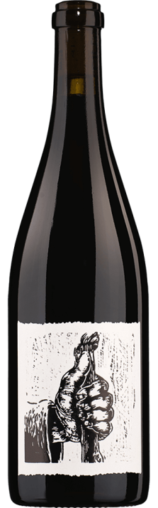 2019 Pilgrim Pinot Noir Graubünden AOC Matthias & Sina Gubler 1500