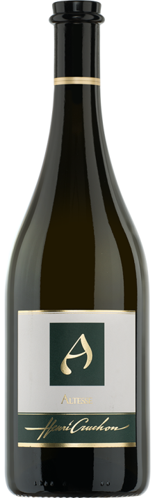 2022 Altesse La Côte AOC Domaine Henri Cruchon (Biodynamisch) 750