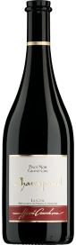 2021 Pinot Noir Champanel La Côte Grand Cru AOC Domaine Henri Cruchon (Bio) 750