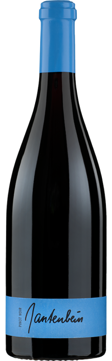 2022 Fläscher Pinot Noir Graubünden AOC Gantenbein 750
