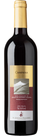 2022 Campana Gamay Visperterminen Valais AOC St. Jodern Kellerei 750