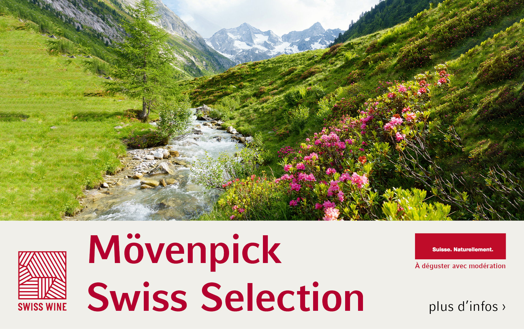 Fine & Rare Wines – Swiss Selection