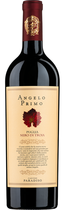 2021 Angelo Primo Nero di Troia Puglia IGP Cantine Paradiso 750