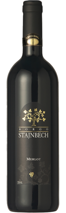 2022 Merlot Trevenezie IGP Borgo Stajnbech 750