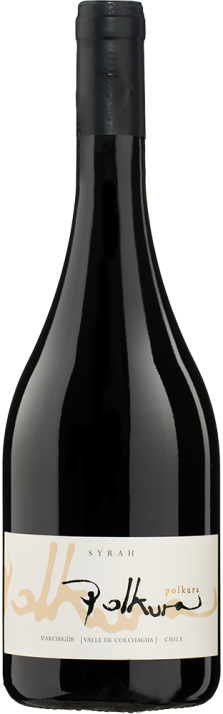 2021 Syrah Marchigüe Valle de Colchagua Viña Polkura 750