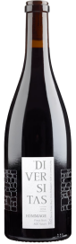 2021 Diversitas Hommage Pinot Noir Valais AOC Cave du Rhodan 750