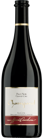 2021 Pinot Noir Champanel (Bio) Domaine Henri Cruchon (Bio) 750