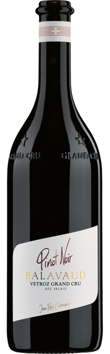 2019 Pinot Noir Balavaud Vétroz Grand Cru Valais AOC Domaine Jean-René Germanier 750