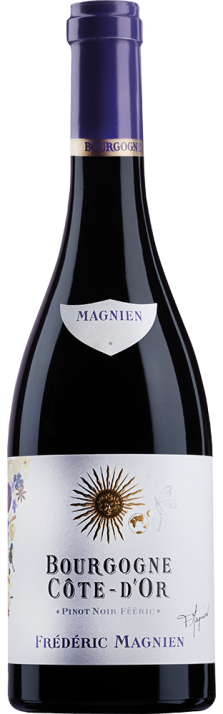 2020 Pinot Noir Fééric Bourgogne Côte-d'Or AOC Frédéric Magnien 750