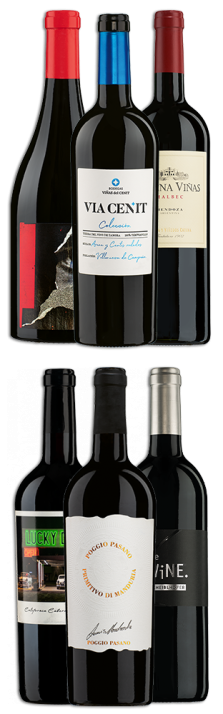 Tasting Box Selektion Wein des Jahres Tasting Box sélection vin de l'année 4500