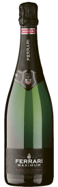 Maximum Blanc de Blancs Trento DOC Ferrari Fratelli Lunelli 750