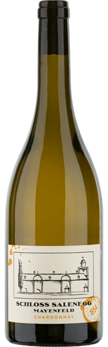 2022 Mayenfelder Chardonnay Graubünden AOC Schloss Salenegg 750