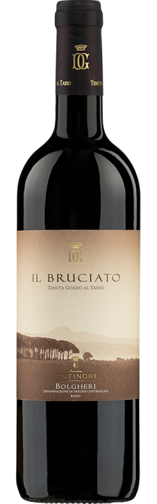 2023 Il Bruciato Bolgheri DOC Tenuta Guado al Tasso Marchesi Antinori 750