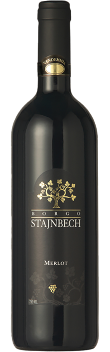 2022 Merlot Trevenezie IGP Borgo Stajnbech 750