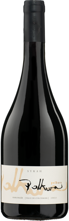 2021 Syrah Marchigüe Valle de Colchagua Viña Polkura 750