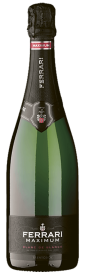 Maximum Blanc de Blancs Trento DOC Ferrari Fratelli Lunelli 750